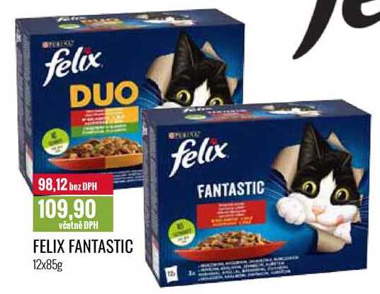 FELIX FANTASTIC 12x85g