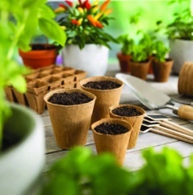 VÝSADBOVÉ KVĚTINÁČE KULATÉ