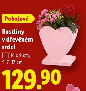 Rostliny v dřevěném srdci