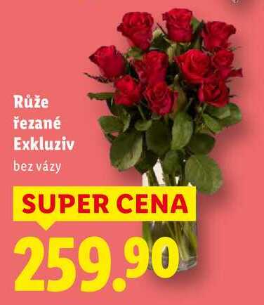 Růže řezané Exkluziv 
