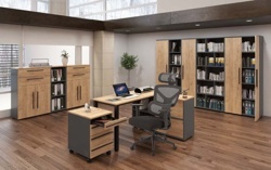 Pracovna - psací stůl