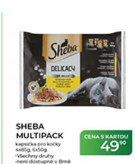 SHEBA MULTIPACK kapsička pro kočky 4x59, 6x50 g
