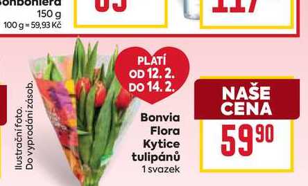 Bonvia Flora Kytice tulipánů 1 svazek