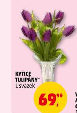 KYTICE TULIPÁNY, 1 svazek