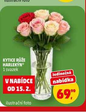 KYTICE RŮŽE HARLEKÝN, 1 svazek 