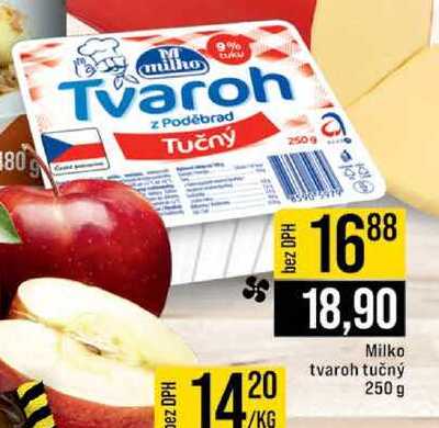 Milko tvaroh tučný 250 g