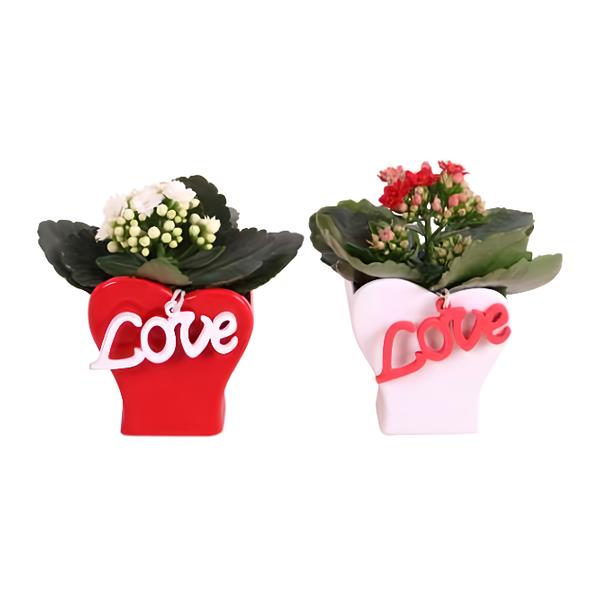 Valentýn kolopějka Love červená/bílá váza