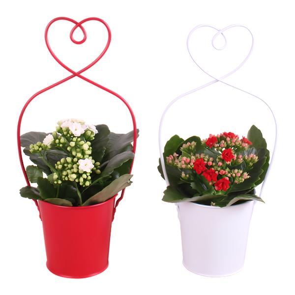 Valentýn kolopějka červená/bílý plech váza