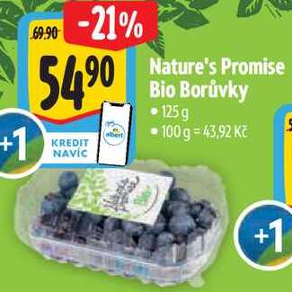 Nature's Promise Bio Borůvky, 125 g 