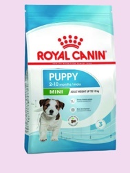 Kapsička pro psy Royal Canin SHN Mini Puppy