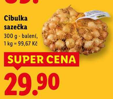 Cibulka sazečka, 300 g 