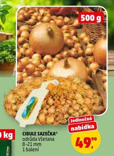 CIBULE SAZEČKA, 1 balení 