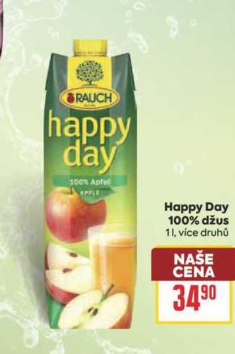 Happy Day 100% džus 1l