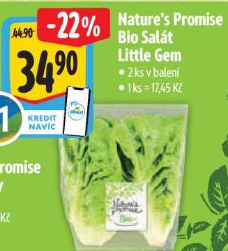 Nature's Promise Bio Salát Little Gem, 2 ks 