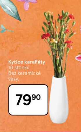 Kytice karafiáty, 10 stonků