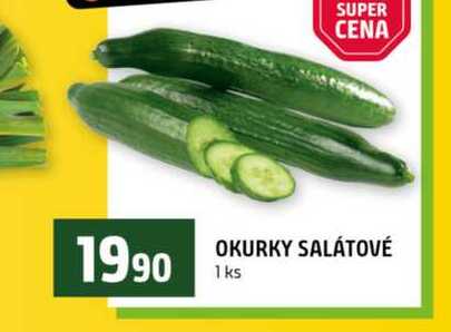 OKURKY SALÁTOVÉ 1 ks 