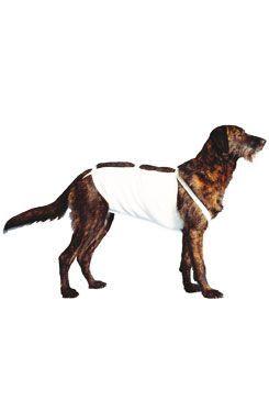 Bandáž břišní č.5 pro psy 55cm německý ovčák 1ks Cvet