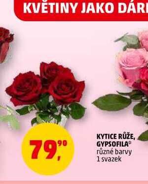 KYTICE RŮŽE, 1 svazek 