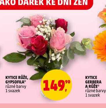 KYTICE GYPSOFILA, 1 svazek