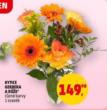 KYTICE GERBERA A RŮŽE, 1 svazek