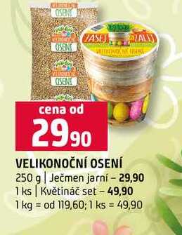 VELIKONOČNÍ OSENÍ 250 g Ječmen jarní 1 ks Květináč set