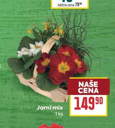 Jarní mix 1 ks