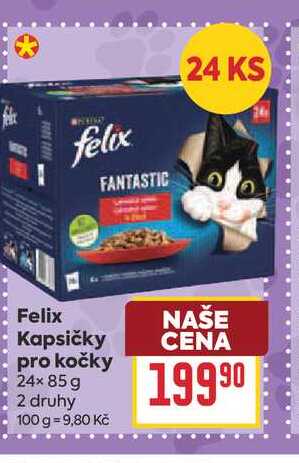 Felix Kapsičky pro kočky 24× 85g 