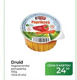 Druid Vegetariánská pomazánka 100 g