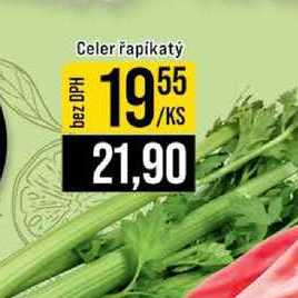 Celer řapíkatý 1ks