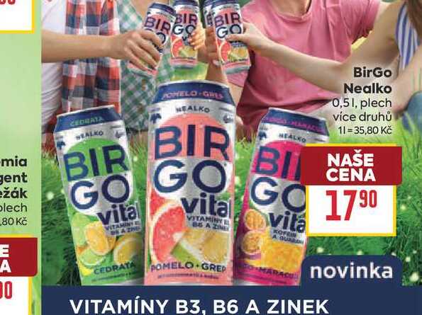 BirGo Nealko 0,51, plech 