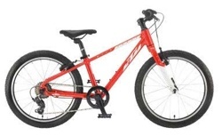 Dětské horské kolo »Wild Cross 20«*