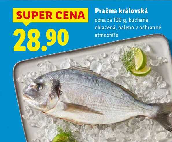 Pražma královská, cena za 100 g