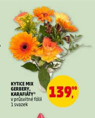 KYTICE MIX GERBERY, KARAFIÁTY, 1 svazek 