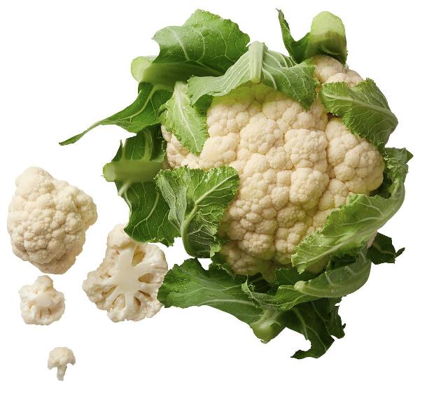 K-BIO - Květák bílý