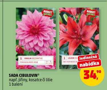 SADA CIBULOVIN, 1 balení