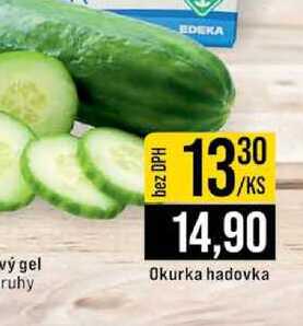 Okurka hadovka 1ks