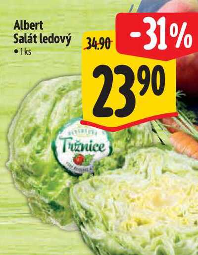 Albert Salát ledový 1 s