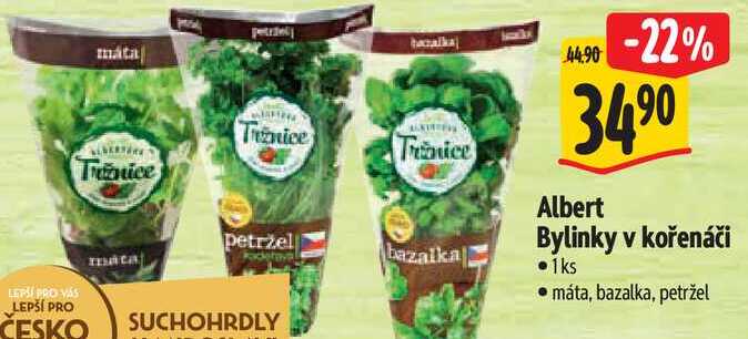  Albert Bylinky v kořenáči 1ks  