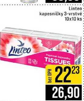 Linteo kapesníčky 3-vrstvé 10x10 ks 