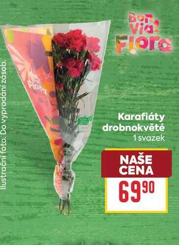 Karafiáty drobnokvěté 1 svazek