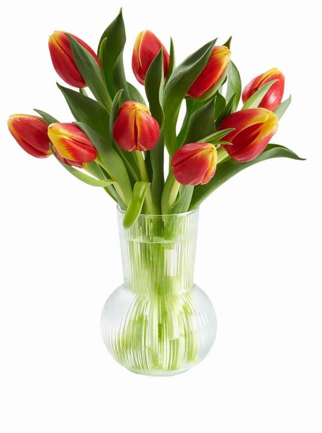 Kytice Tulipány dvoubarevné 17 kusů