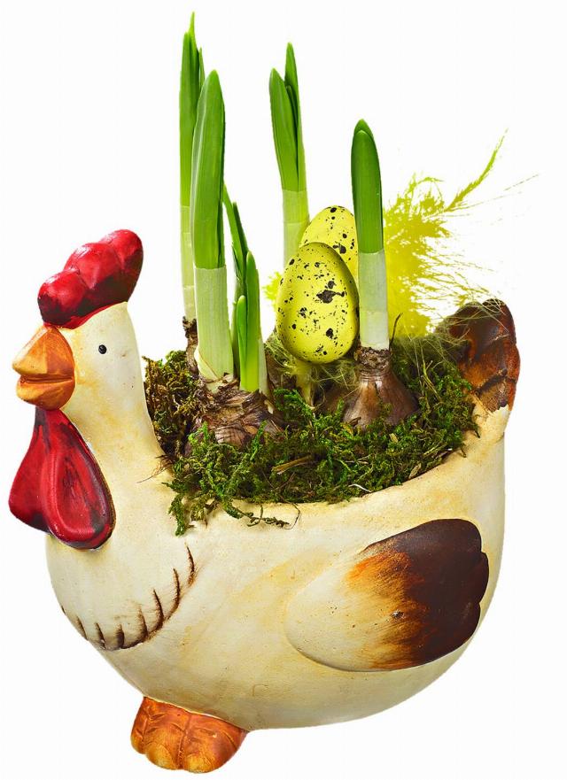 Rostliny v keramické slepičce