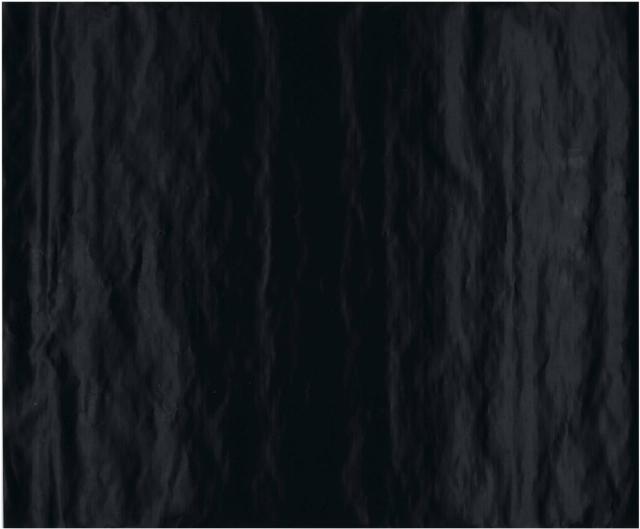 SPICE&SOUL Fólie na pečení rozměry: 33 x 40 cm