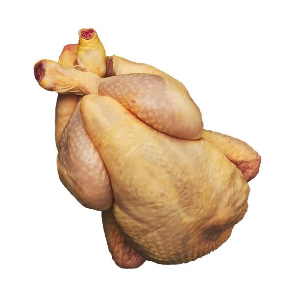 P'tit Duc de Savel Coquelete mini kuřátko