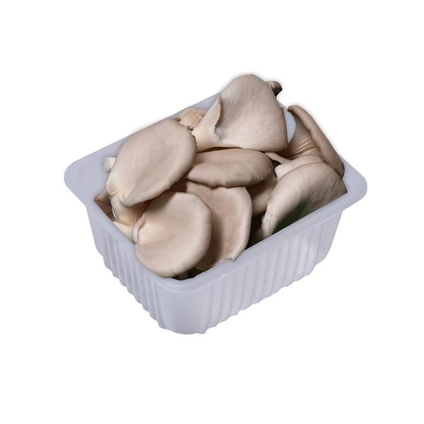 České houby Hlíva ústřičná, vanička