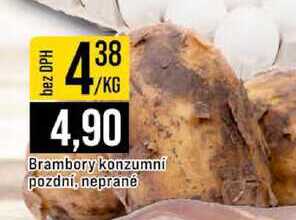 Brambory konzumni pozdní, neprané 
