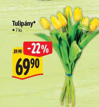 Tulipány 7