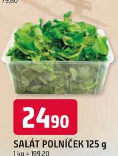 SALÁT POLNÍČEK 125 g