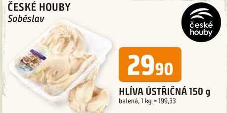 HLÍVA ÚSTŘIČNÁ 150 g