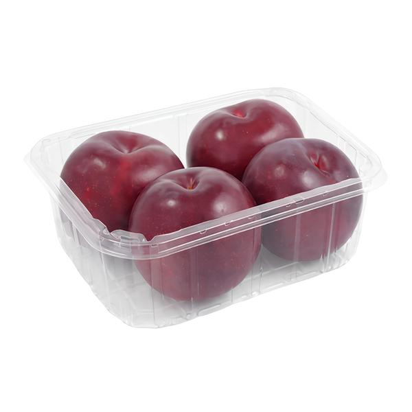 Bluma červená, vanička